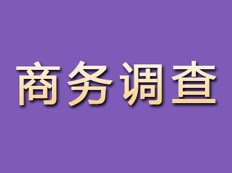 普陀商务调查